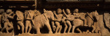 Sculptures on Wall of Temple  Khajuraho Temple  Chhatarpur District  Madhya Pradesh  India