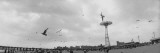 Tourists on the Beach  Coney Island  Brooklyn  New York City  New York State  USA
