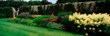 Flowers in a Garden  Pitmedden Garden  Pitmedden  Aberdeenshire  Scotland