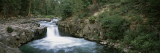 Waterfall in a Forest  Mccloud Falls  Lower Falls  Mt Shasta  California  USA