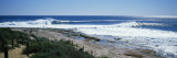 Waves Breaking on the Beach  Western Australia  Australia