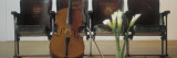 Cello Leaning on Attached Chairs