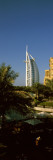 Trees in Front of a Hotel  Burj Al Arab Hotel  Dubai  United Arab Emirates