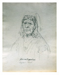 Portrait of Ka-Mat-Spel-Loh Cayuse Chief