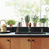 Aromatic herbs  (Window Decal)