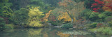 The Japanese Garden Seattle Wa  USA