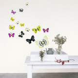 Butterflies