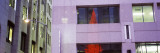 Reflection of a Christmas Tree on a Window  San Francisco  California  USA