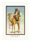 Teddy Roosevelt's Bears: A Yankee Bear