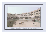 General View of a Spanish Bull Fight