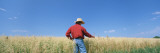 Farmer Standing in an Oat Field  Saunders County  Nebraska  USA
