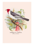 Dominican Cardinal