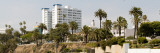 Buildings in a City  Santa Monica  Los Angeles County  California  USA