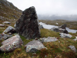 Slopes of Ben Mor Assynt  Sutherland