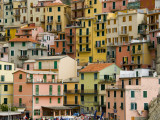 Colourful Houses in Village of Manarola