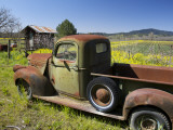 Old Truck in Russian River Valley
