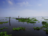 Canoe on Kerala's Backwaters