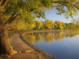 Autumn Colour at Bowen Park Reflected in Lake Burley Griffin