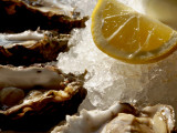 Fresh Oysters on the Half Shell at Bayswater Brasserie  Kings Cross