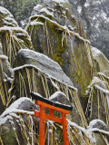 Gravestones Engraved with Kanji Characters at Fushi-Inari-Taisha Shrine