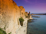 Chateau Royal and the Harbour at Collioure
