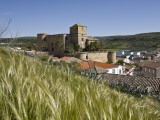 Castle of Canena