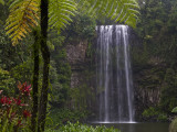 Milla Millaa Falls