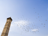 Low Angle View of Great Mosque Minaret and Flock of Birds