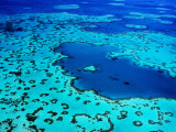 Aerial of Heart-Shaped Reef at Hardy Reef  Near Whitsunday Islands