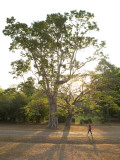 Female Tourist Walking Along Road Next to Angkor Wat Temple Complex