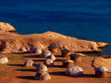 Campement (Traditional Afar Huts) for Tourists Overlooking Sea
