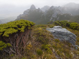 Alpine Heath and Quartzite Outcrops in Frankland Range