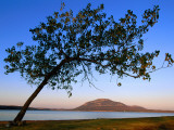 Mt Scott