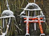 Gravestones Engraved with Kanji Characters at Fushi-Inari-Taisha Shrine