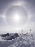 Solar Halo (Due to Blowing Snow and Ice Crystals) Above Southern Patagonian Icecap