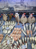 Fish Shop in Kadikoy