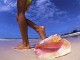 Woman Walking Past a Large Shell on the Beach