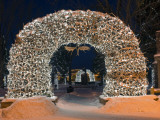 Christmas Lights on Elk Antlers