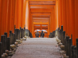 Orange-Red Gates (Tori) Lining Pathways of Fushimi-Inari-Taisha Shrine