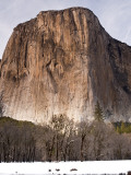 El Capitan and Black Oaks Along the Merced River in Winter