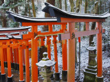 Orange-Red Gates (Tori) Lining Pathways of Fushimi-Inari-Taisha Shrine