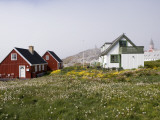 Kolonihavn Buildings