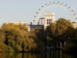 London Eye from Green Park