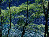 Overhead View of Rhinoceros Lake