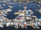 Fishing Boats in Harbour