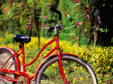 Red Bicycle  Half Moon Resort