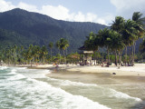 Waves Roll onto Palm Lined Beach