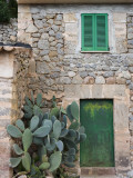 Opuntia Cactus and Green Door