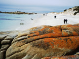 Bushwalkers on Beach at Stumpy Bay  Bay of Fires Walk
