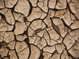 Dried Up River Bed